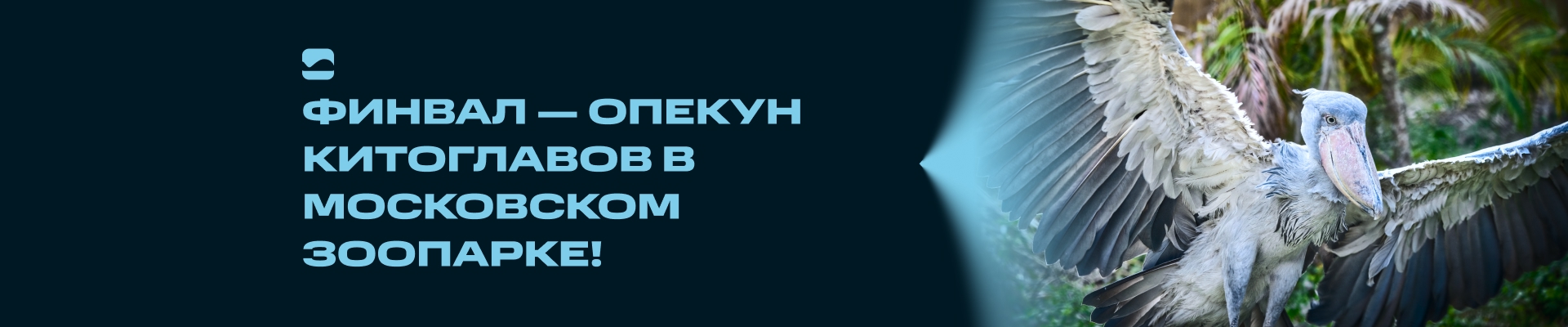 ФИНВАЛ — друг Московского зоопарка